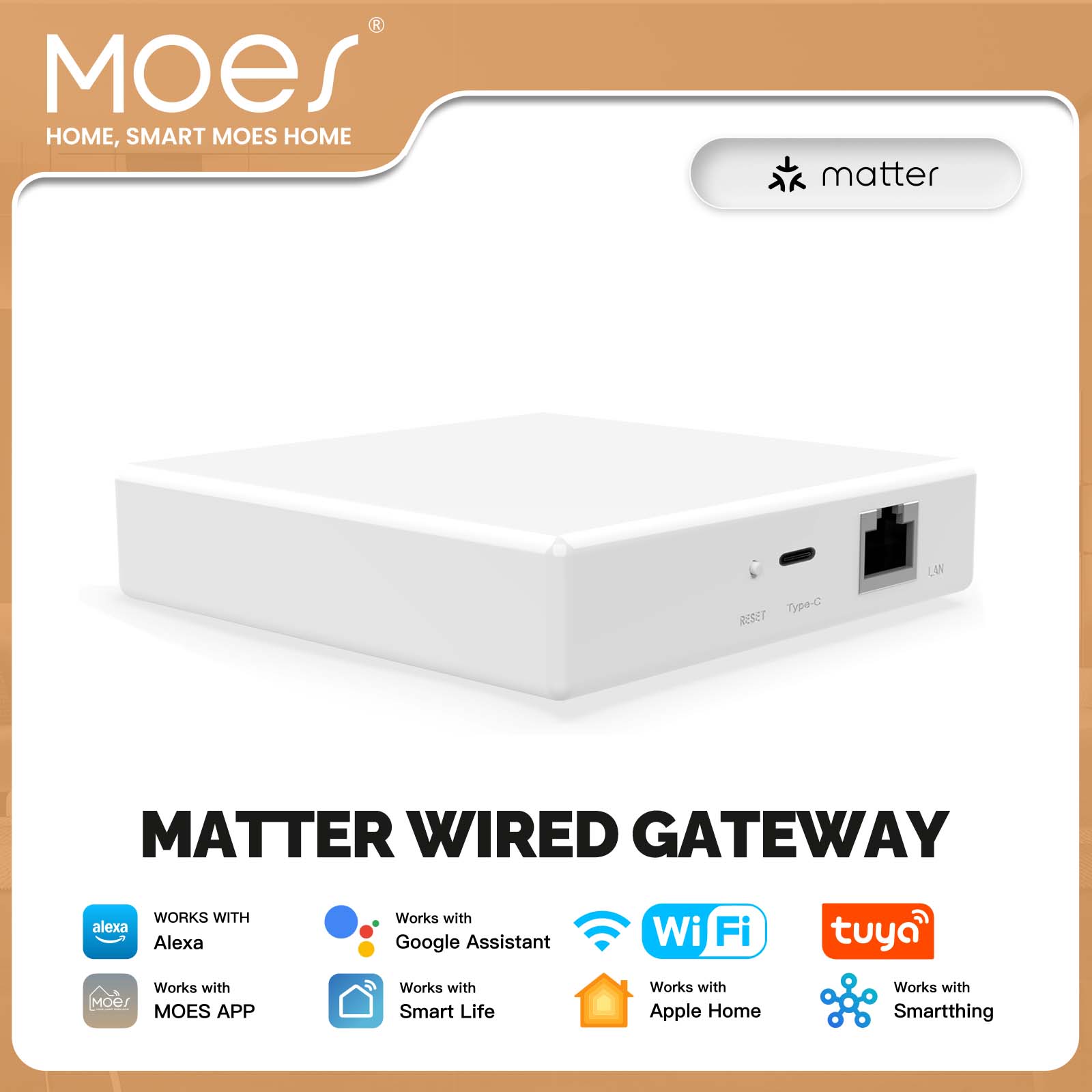 MOES Tuya ZigBee Matter Thread - Smart Home Registration ulasan dan harga